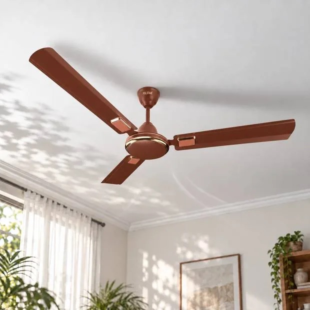 Ceiling Fans